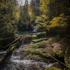 Tief in die Schlucht geschaut