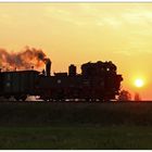 Tief stehende Abendsonne bei Lindenberg