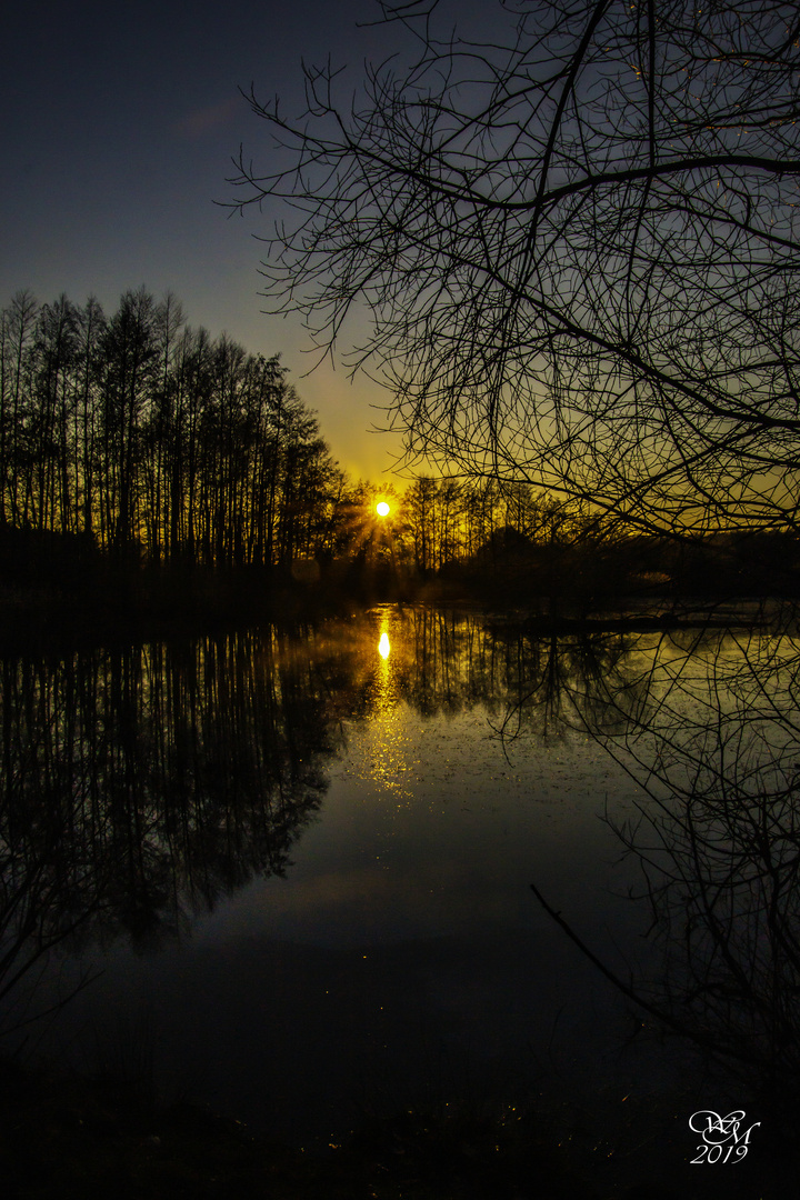 Tief stehende Sonne