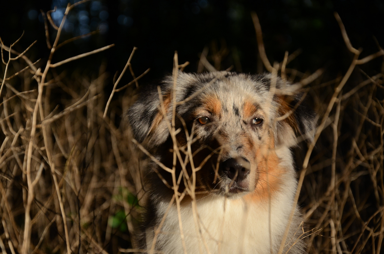 Tief stehende Sonne.