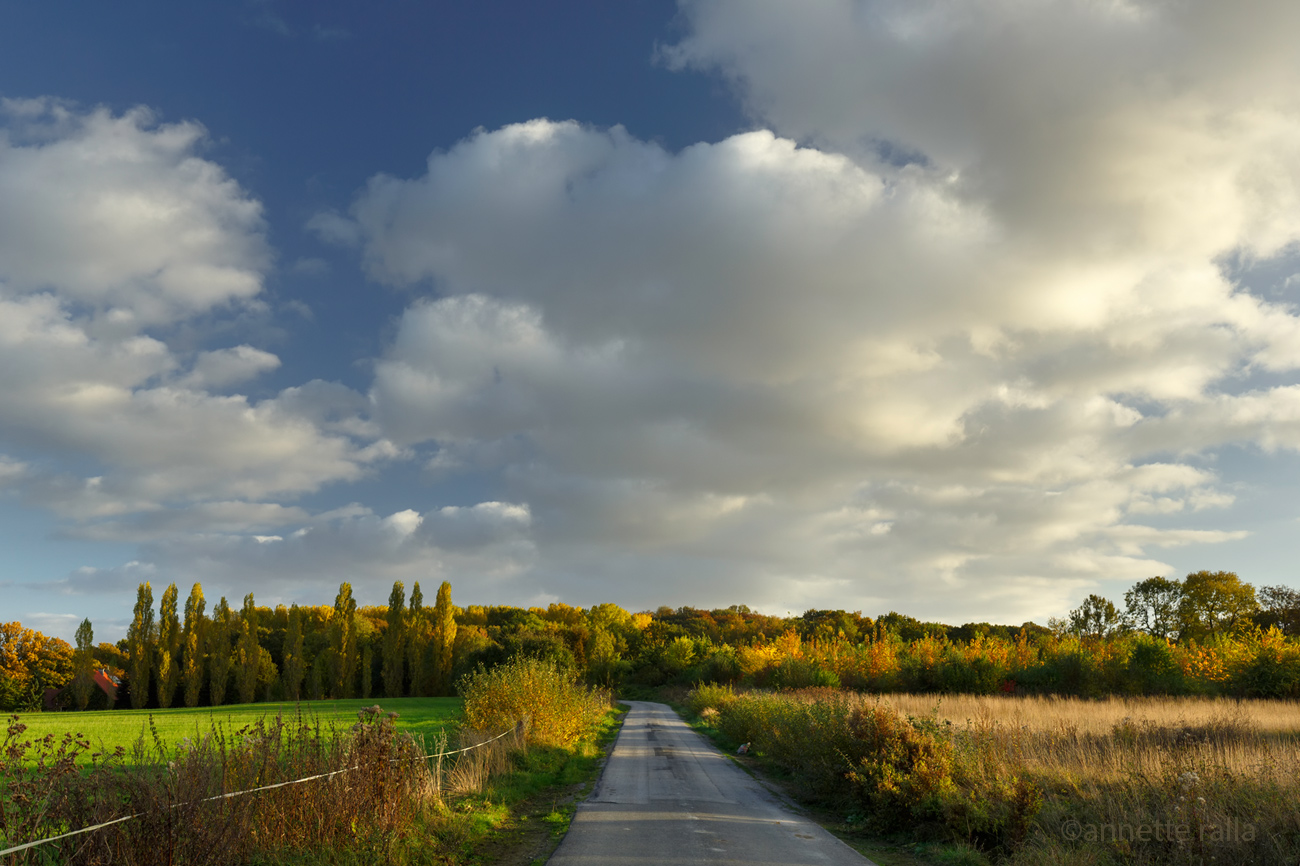 Tief stehende Sonne und ein hoher Wolkenhimmel