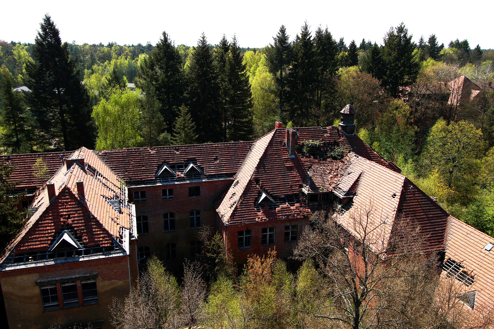 Tief verborgen im Märchenwalde