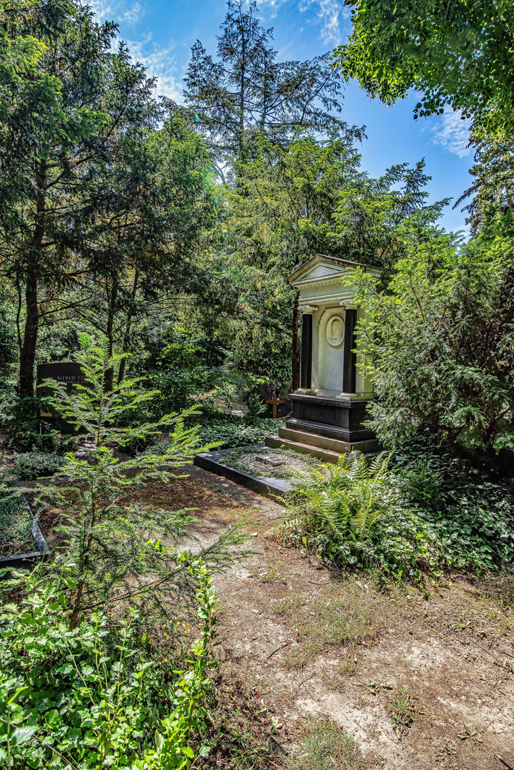 tief verborgen im Wald