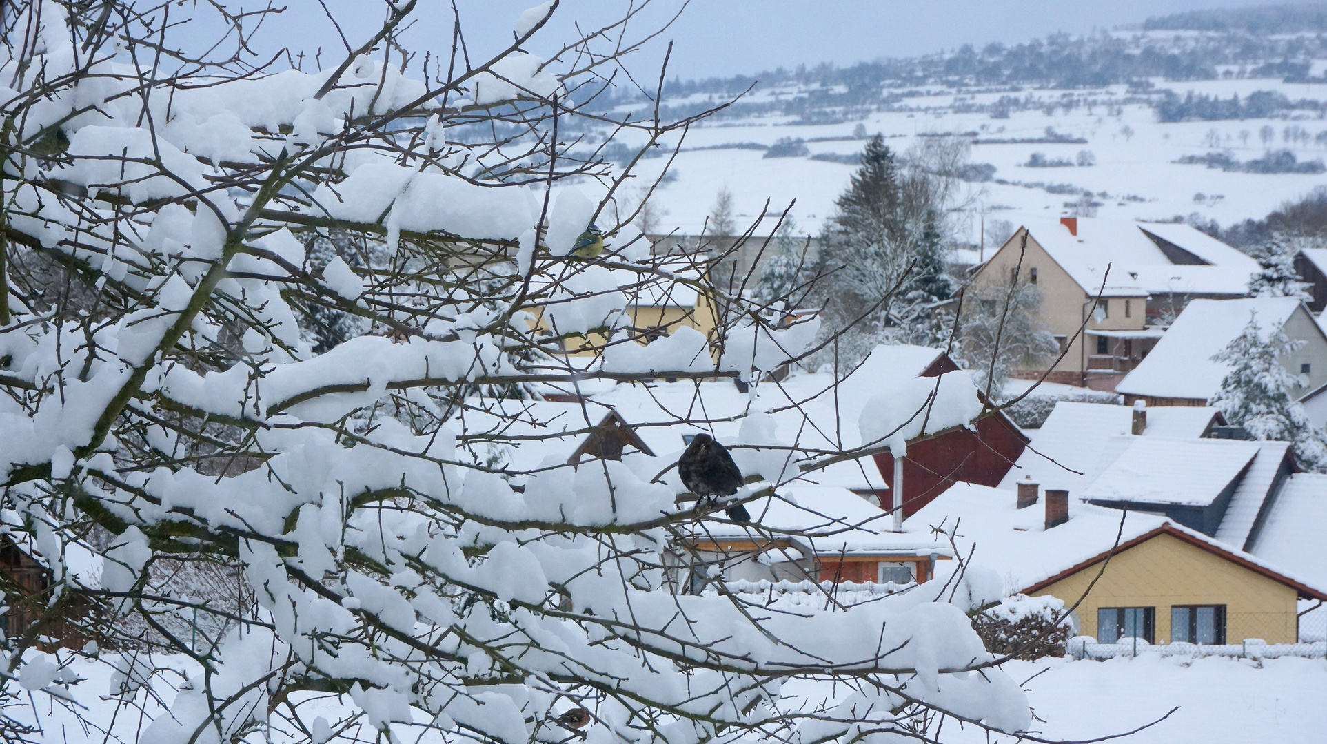 tief verschneit (mucha nieve)