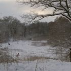 tief winterlicher Bürgerpark in Stendal