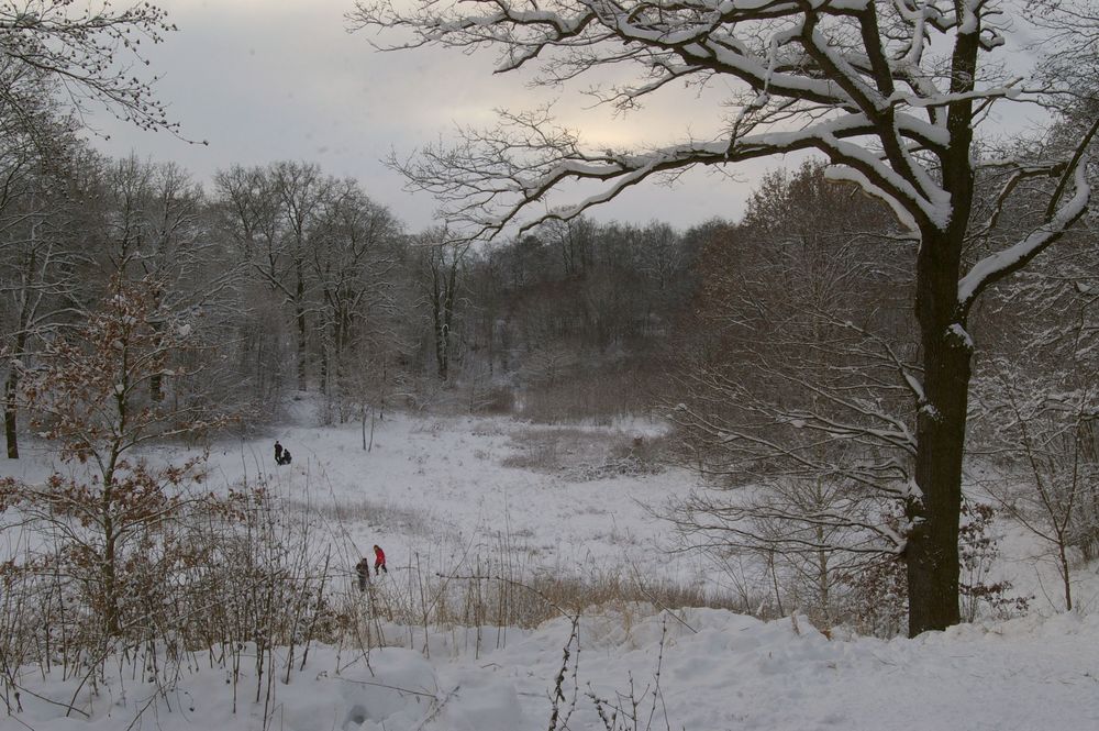 tief winterlicher Bürgerpark in Stendal