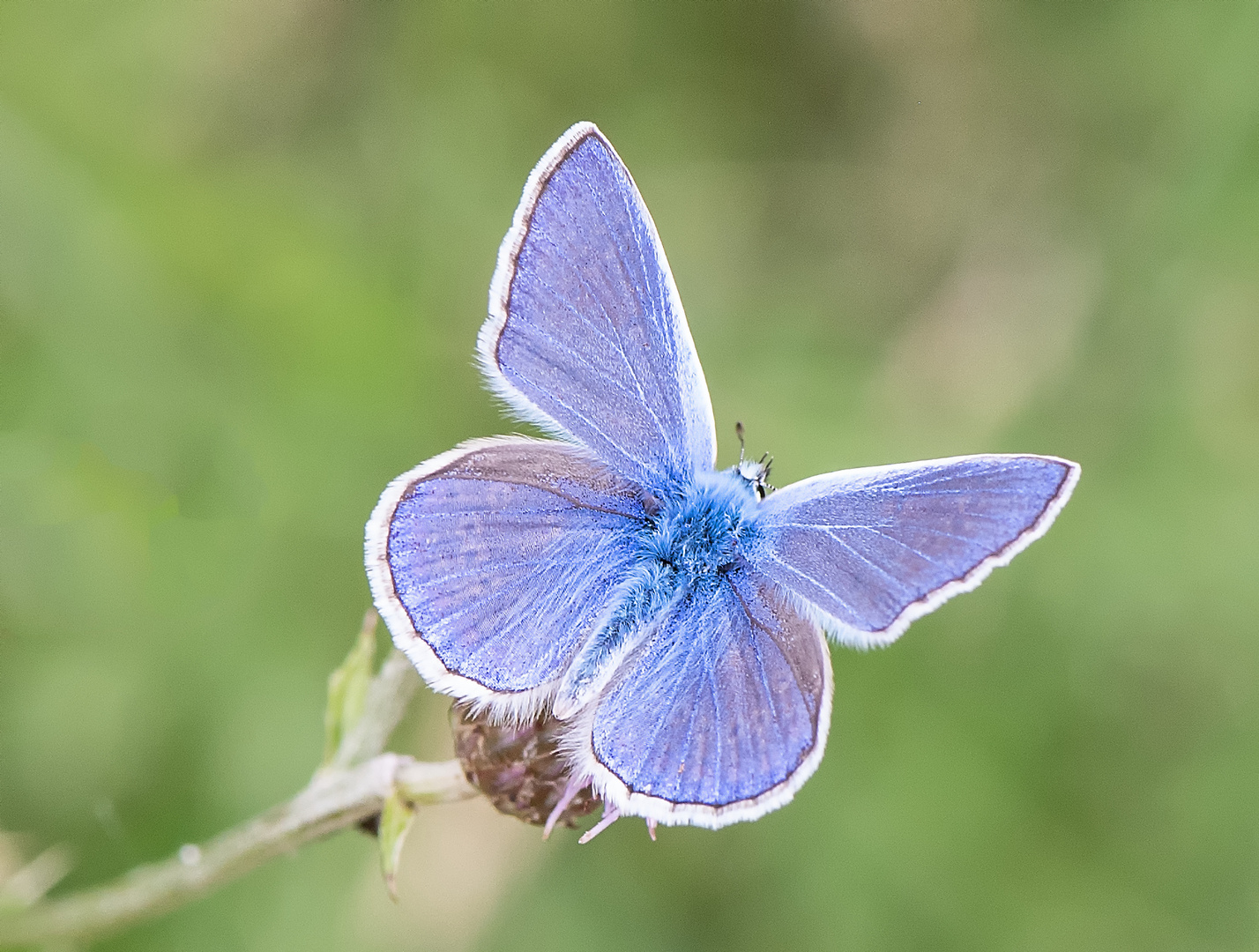 Tiefblau