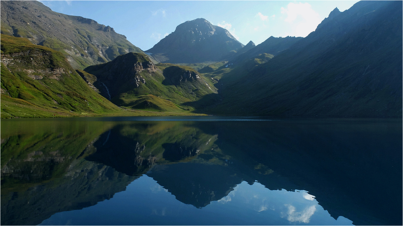 Tiefblaue Schönheit