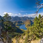 Tiefblick-Alpsee