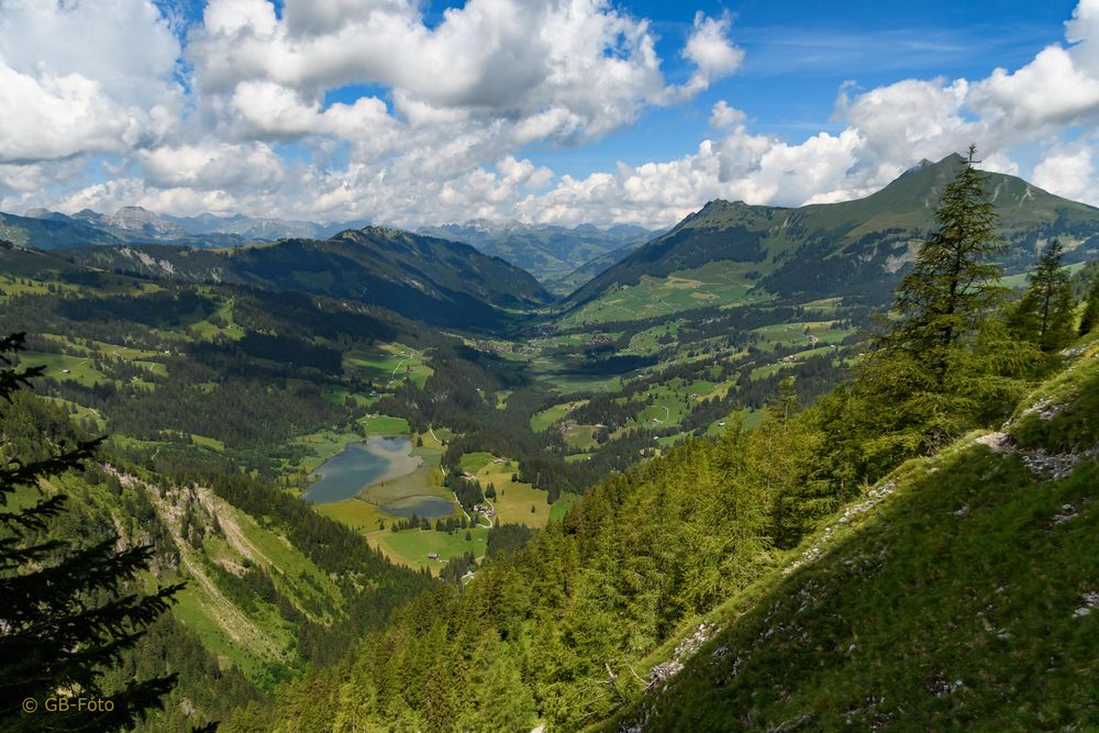 Tiefblick ins Saanenland