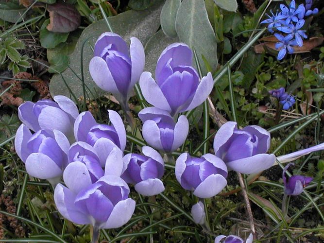 Download Freude tiefe Desktop Wallpaper Freude Tiefe