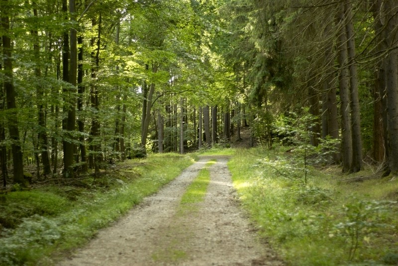 Tiefe In Ein Foto Bekommen 50mm Festbrennweite Foto Bild Landschaft Wege Und Pfade Natur Bilder Auf Fotocommunity
