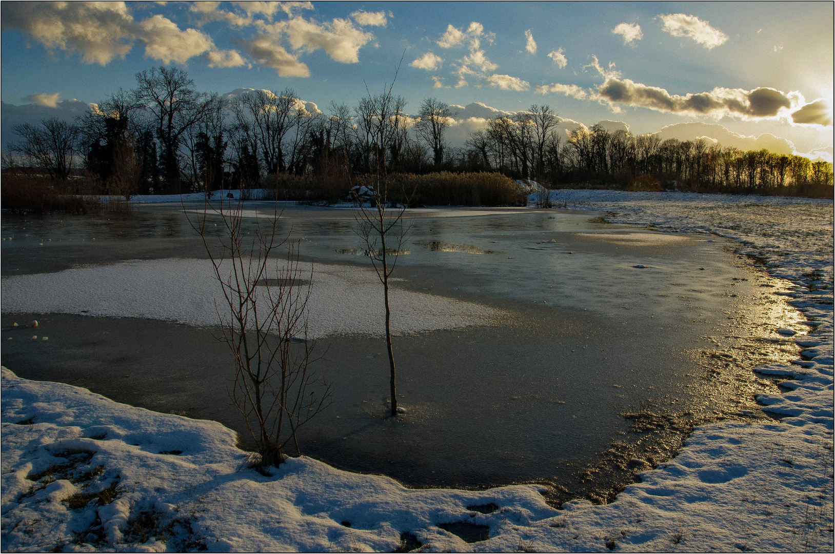 tiefe Sonne am Teich
