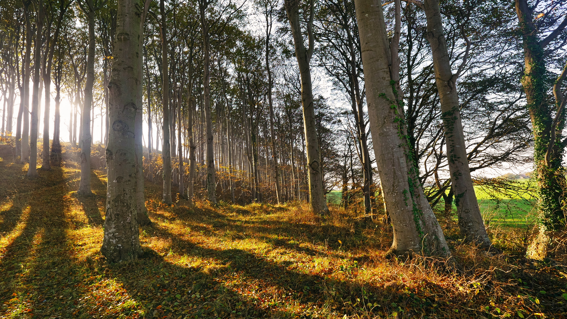 Tiefe Sonne lange Schatten