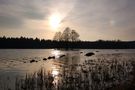 Tiefe Sonne über Schweden von lalena