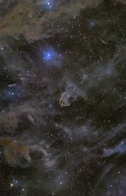 Tiefe Weitfeldaufnahme im Taurus mit staubigem Geier