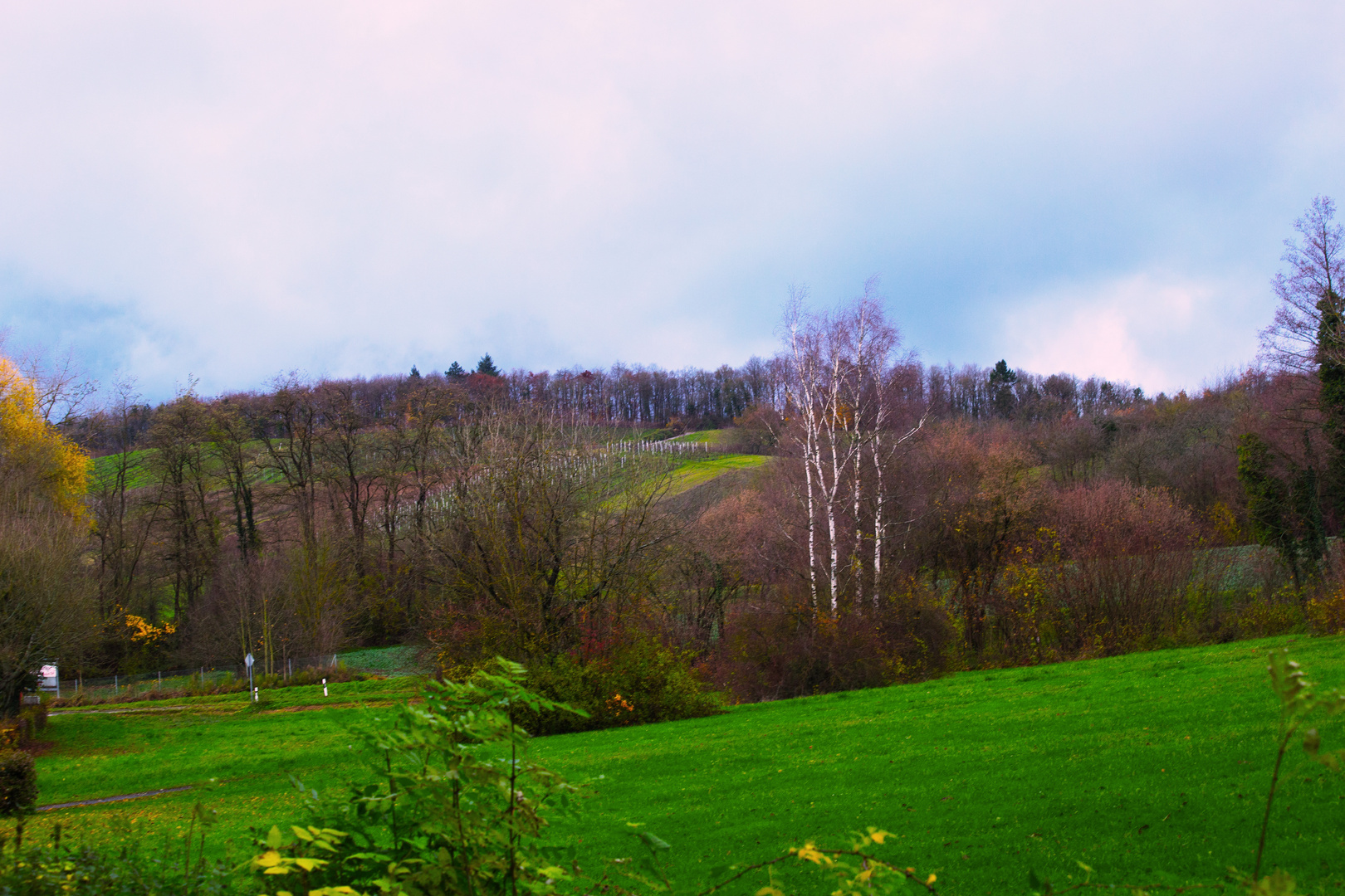 Tiefenbacher Kraichgaulandschaft