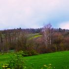 Tiefenbacher Kraichgaulandschaft