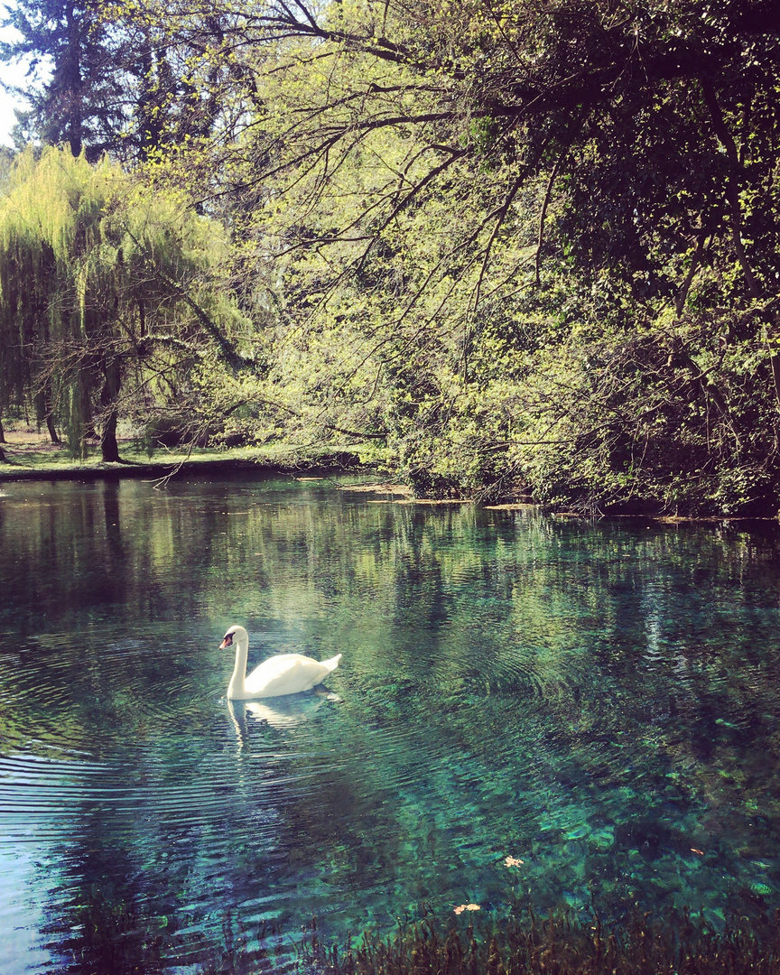 Tiefenbrunn