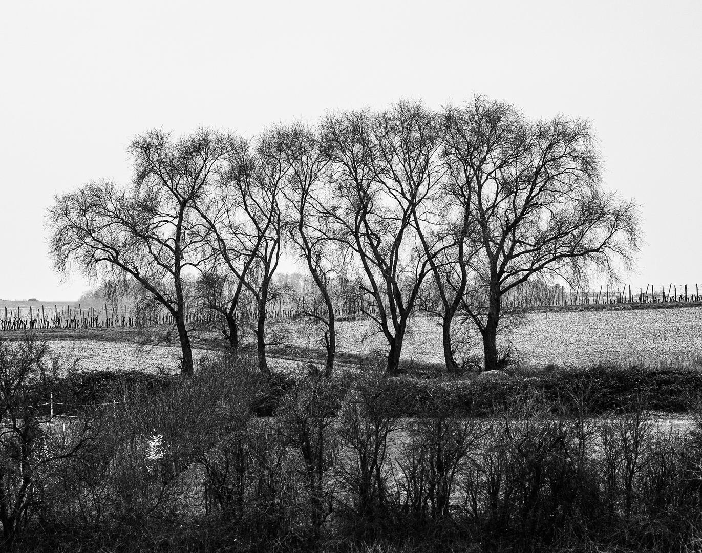 Tiefenstaffelung