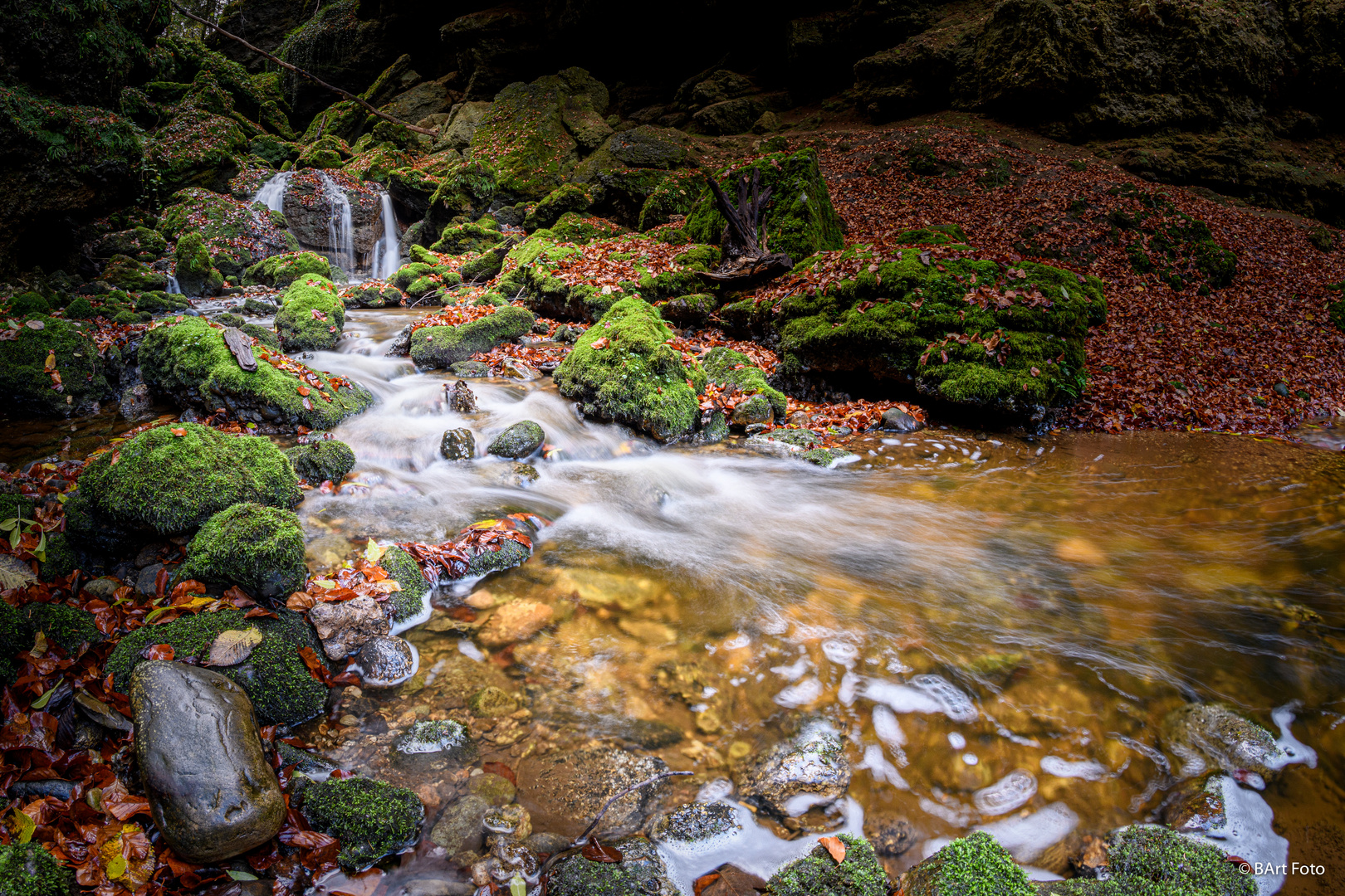 Tiefensteinklamm im Herbst