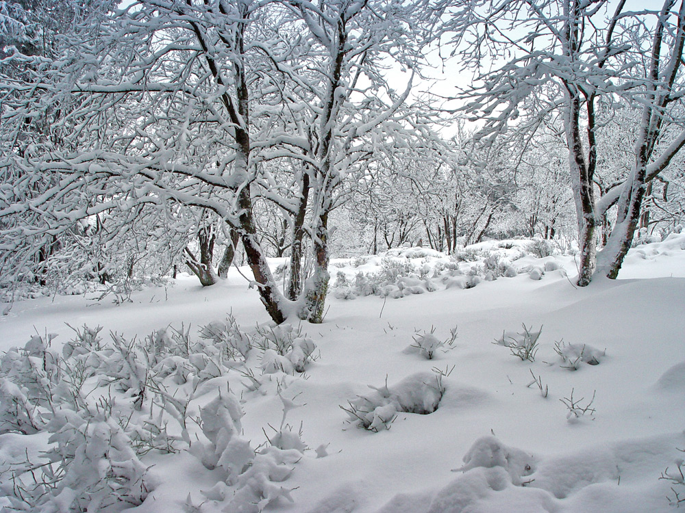 Tiefer Schnee