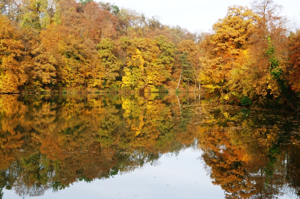 Tiefer See , Maulbronn heute