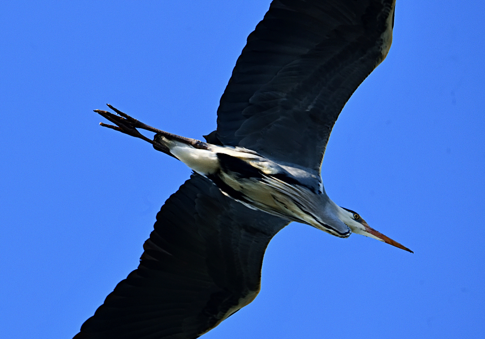 Tiefer Überflug