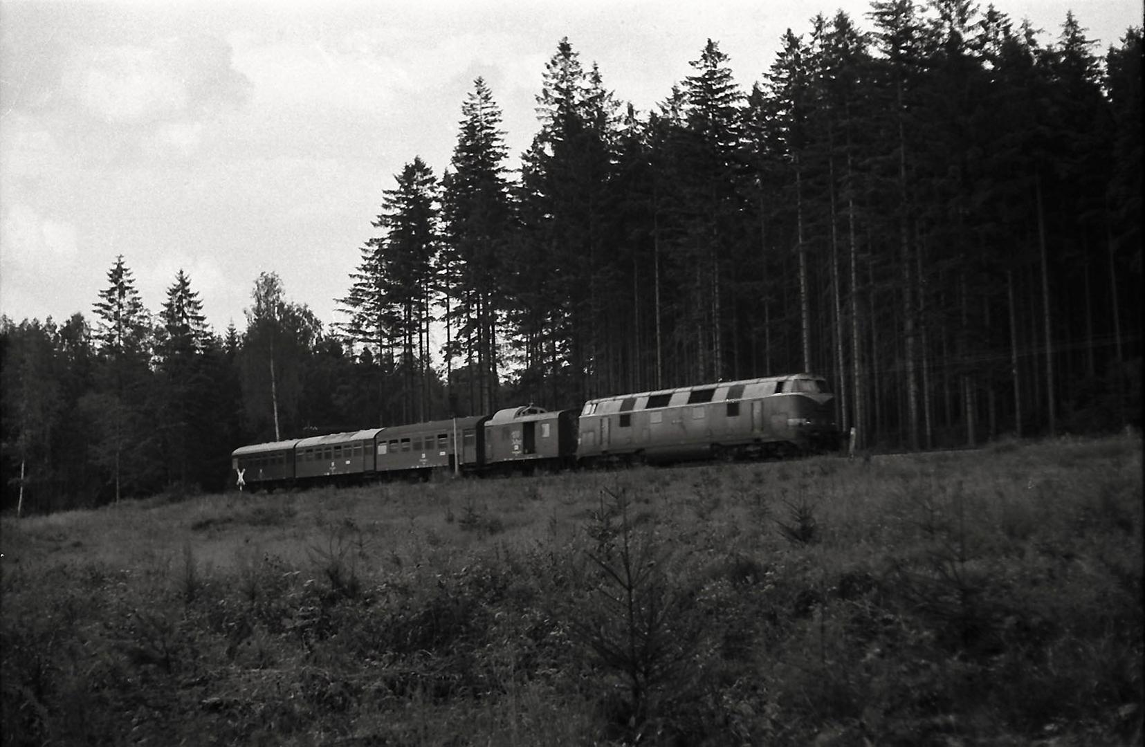 Tiefer Wald im Erzgebirge