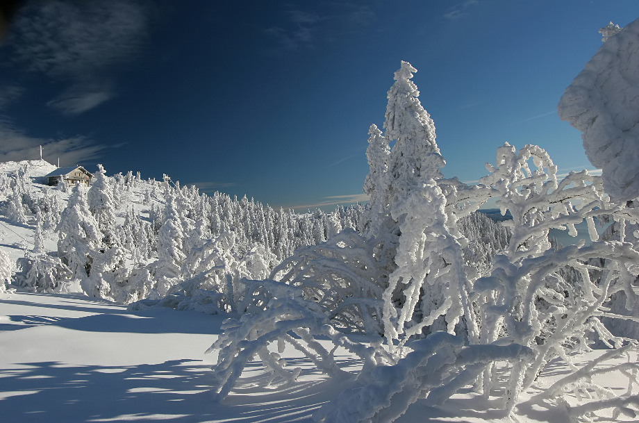 Tiefer Winter auf dem Arbergipfel