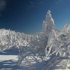 Tiefer Winter auf dem Arbergipfel