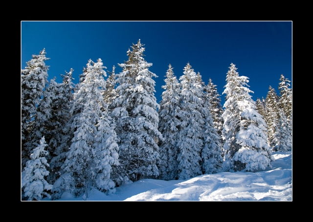 Tiefer Winter in Adelboden