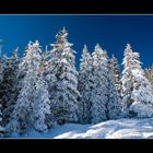 Tiefer Winter in Adelboden