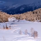 Tiefer Winter statt Frühling