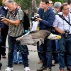 Tiefflug - die zweite - und wieder zu schnell für die Fotokinabesucher 2014