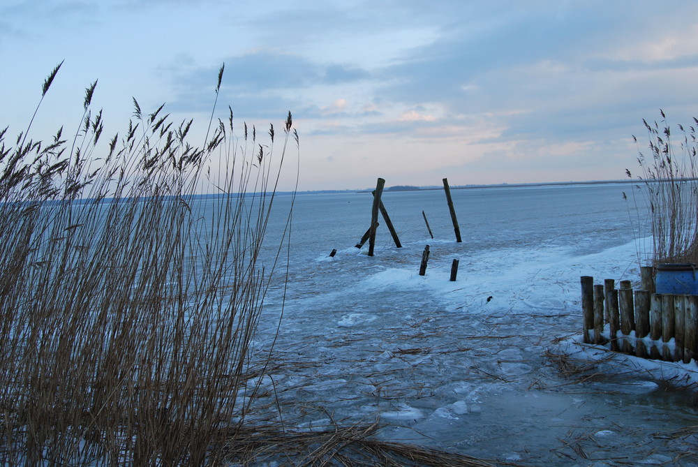 Tiefkühltruhe-Bodden