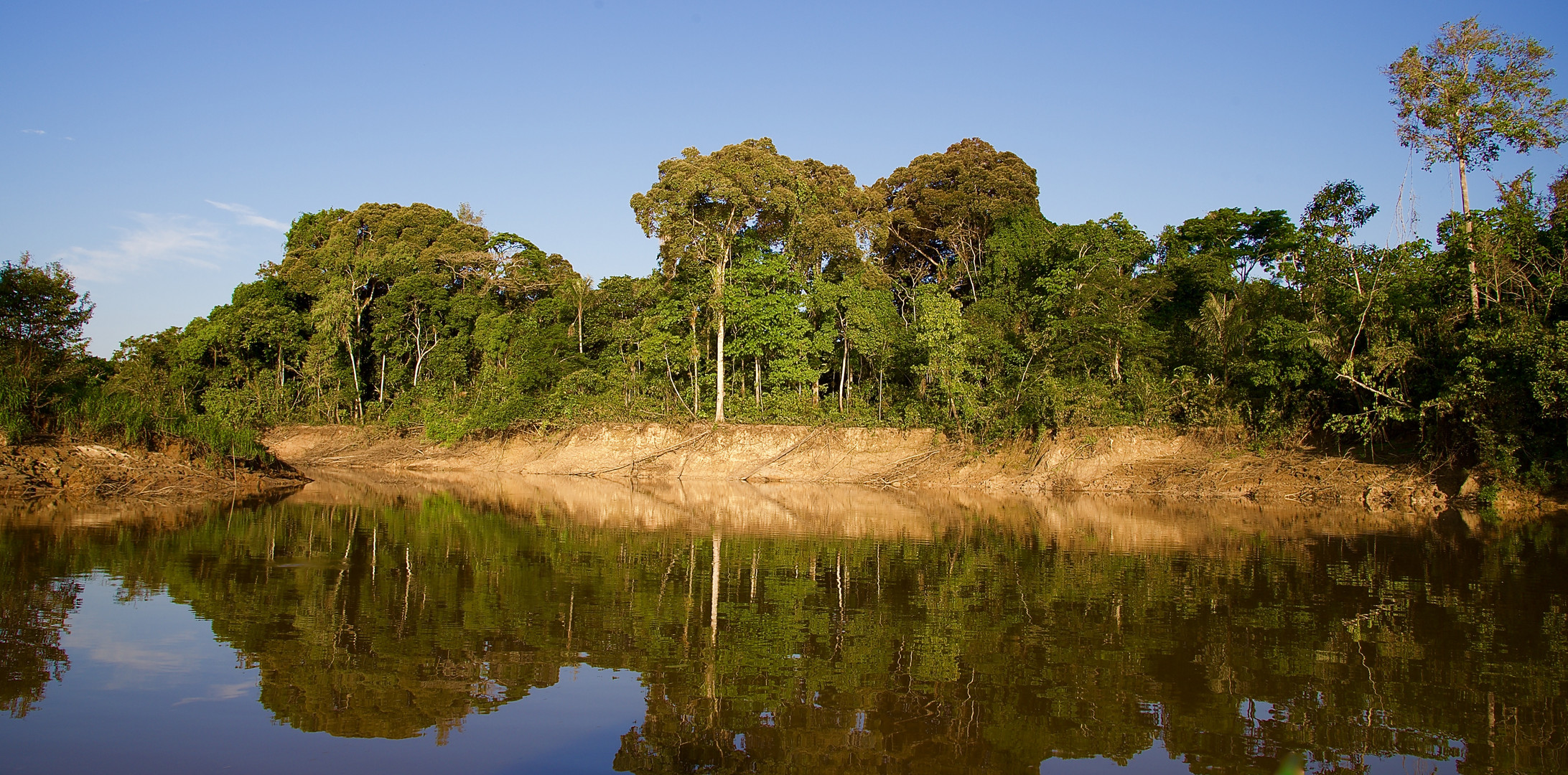 Tieflandregenwald an einem Nebenfluß des Amazonas