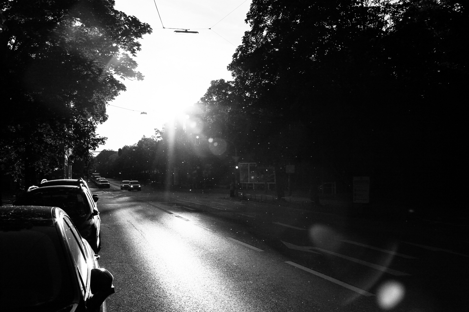 Tiefliegende Sonne im Hochsommer