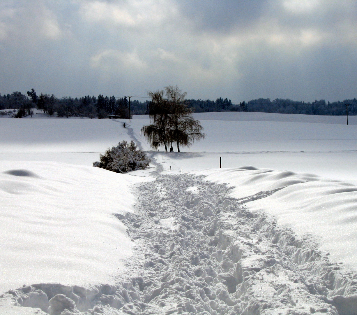 Tiefschnee