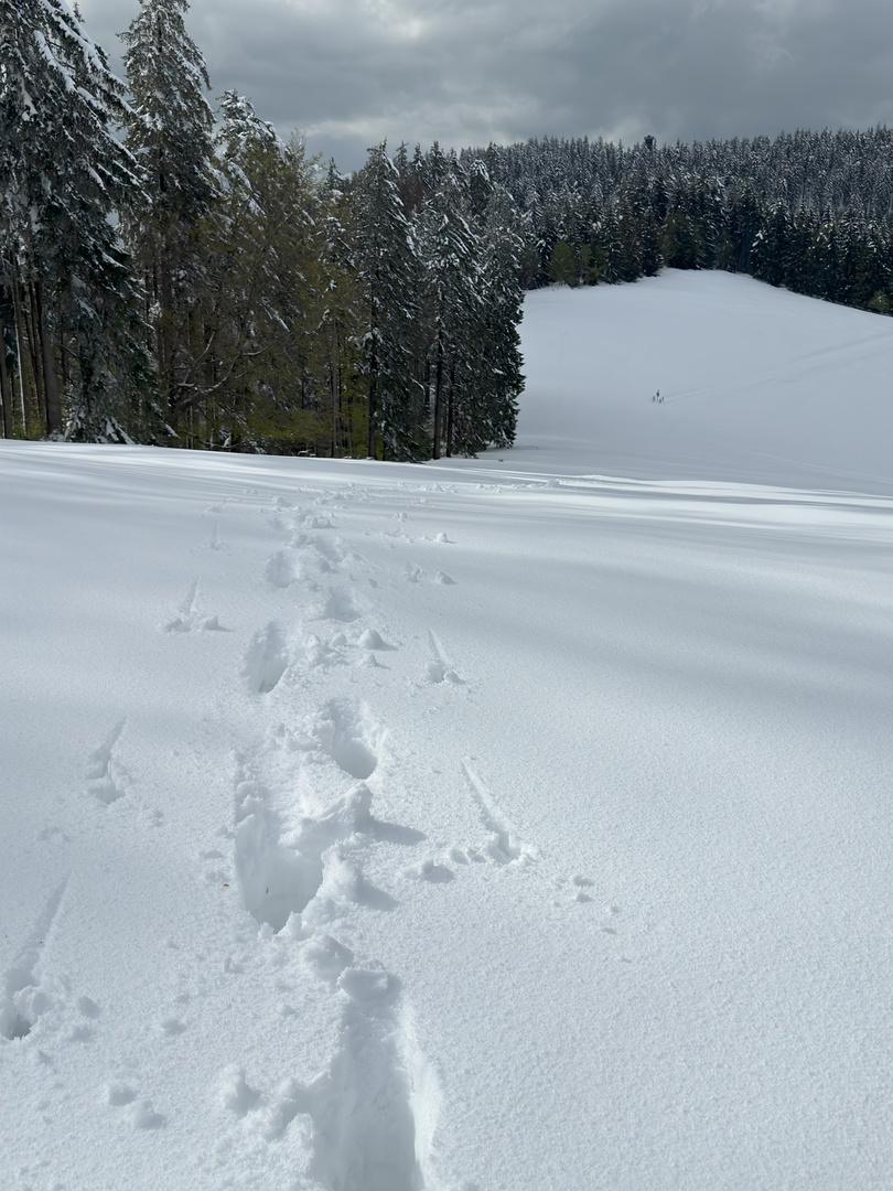 Tiefschnee im April