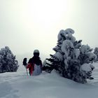 Tiefschnee Skifahren