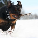 Tiefschneesprint I