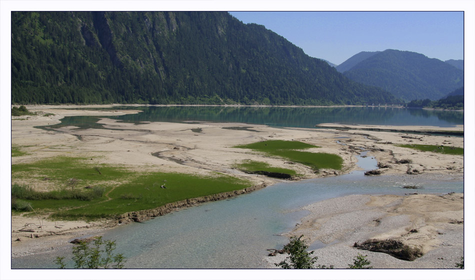 Tiefstand oder "sommerliche Isar - Steppe"