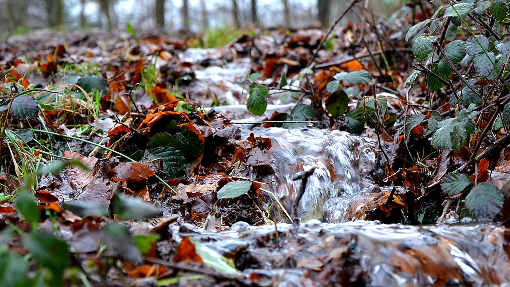 tiefste Gangart im Regen ;)