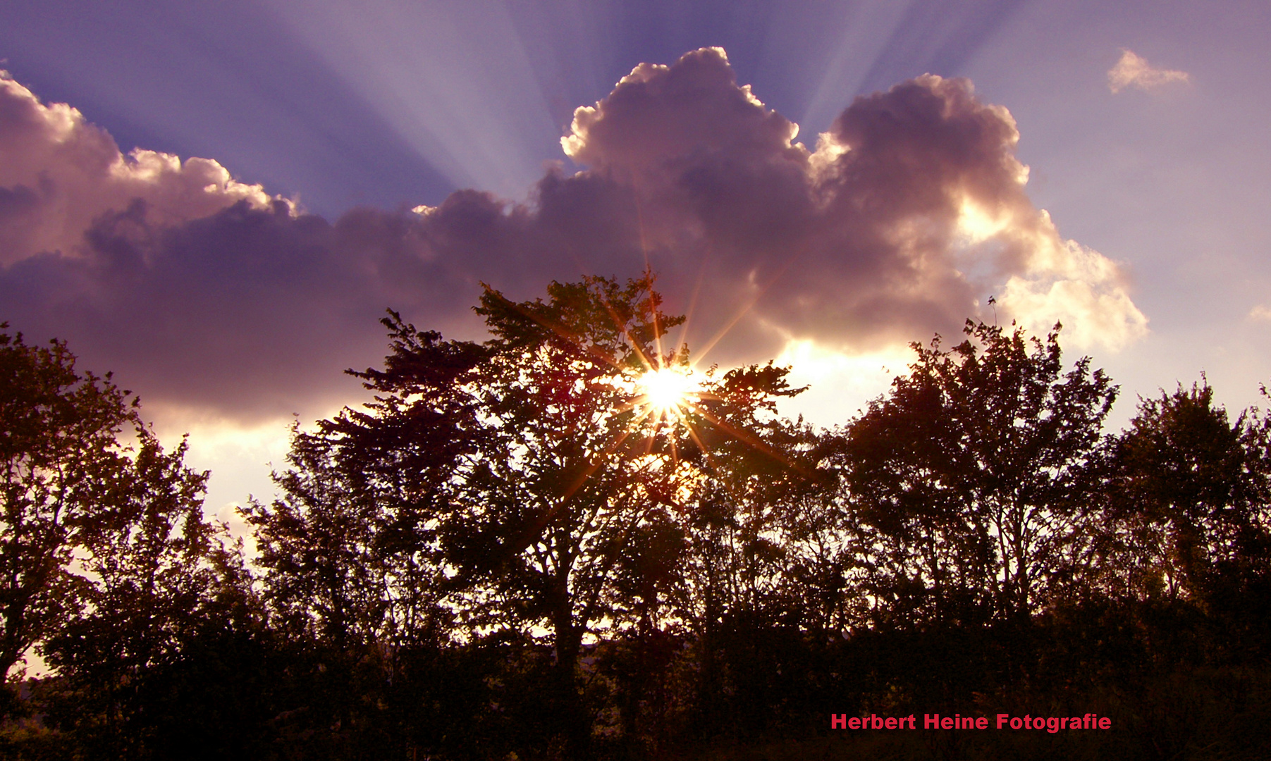 Tiefstehende - Abendsonne, in der Eifel