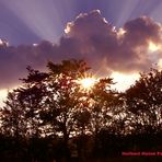 Tiefstehende - Abendsonne, in der Eifel