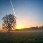 Tiefstehende, aufgehende Sonne