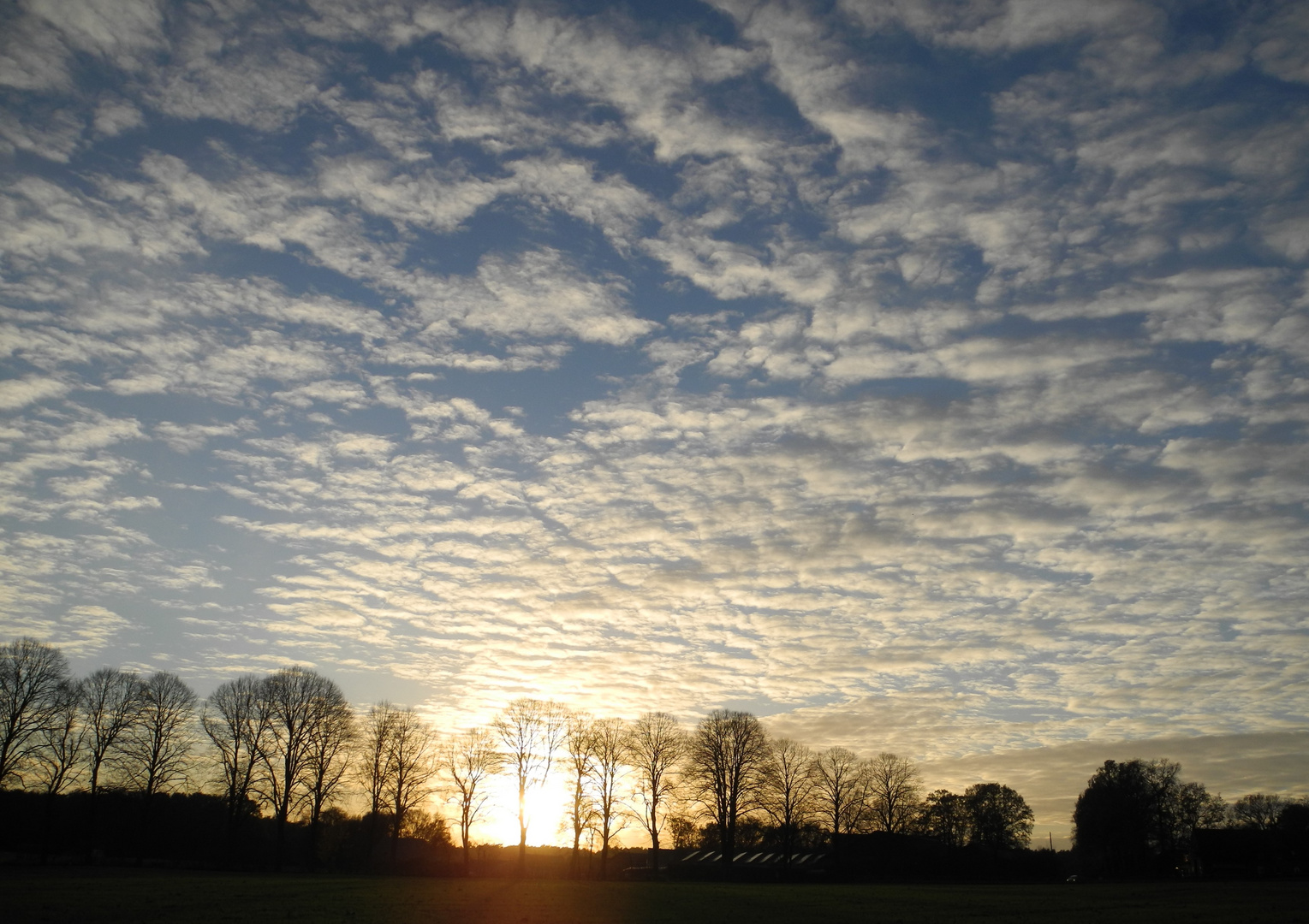 Tiefstehende Herbstsonne