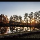 tiefstehende Herbstsonne