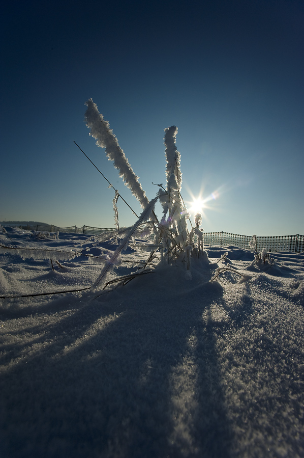 tiefstehende Sonne